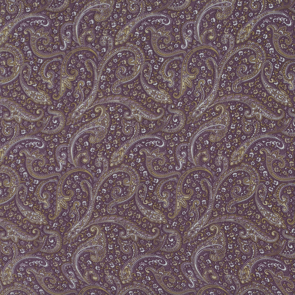 Purple Paisley